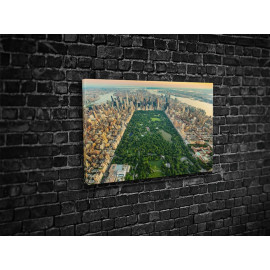 Картина Центральний парк Нью-Йорка 51x34 см (527