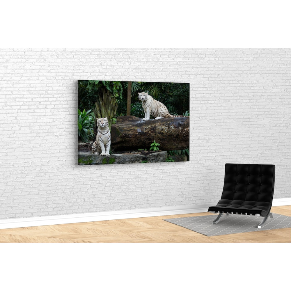 Картина Білі тигри 51x34 см (548