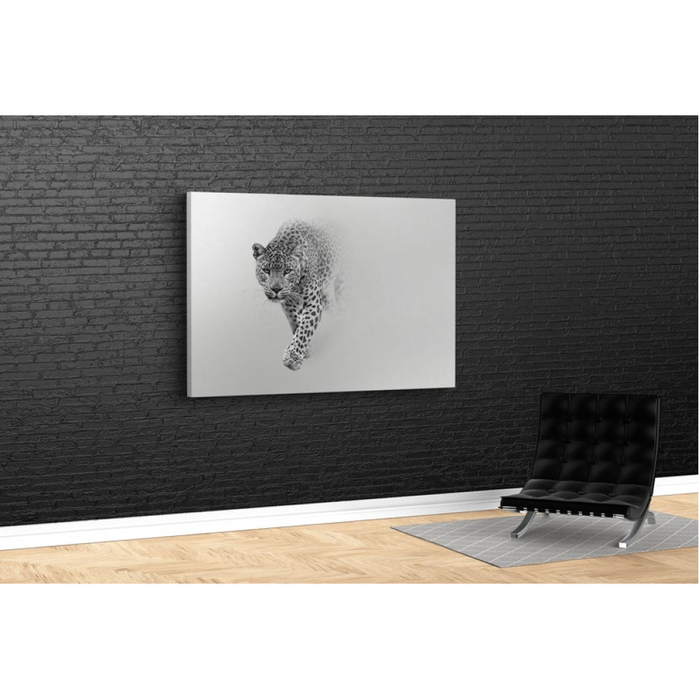 Картина Чорно-білий ягуар 51x34 см (528