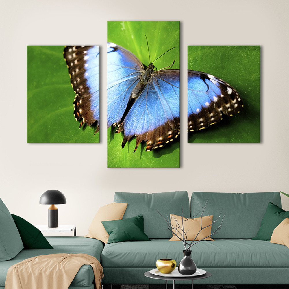 Картина Блакитний метелик 66x40 см (132-32)