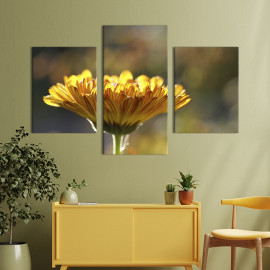 Картина триптих Прекрасна квітка календули 66x40 см (894-32)