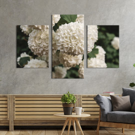 Картина триптих Пишна біла гортензія 66x40 см (956-32)