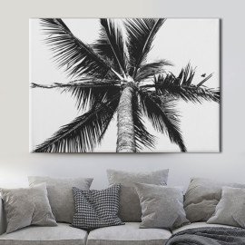 Картина Рослина - Чорно-біла пальма 50x25 см (K0002_M)