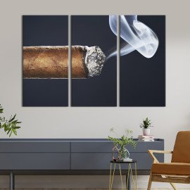 Картина Кубинська сигара 78x48 см (301-31)