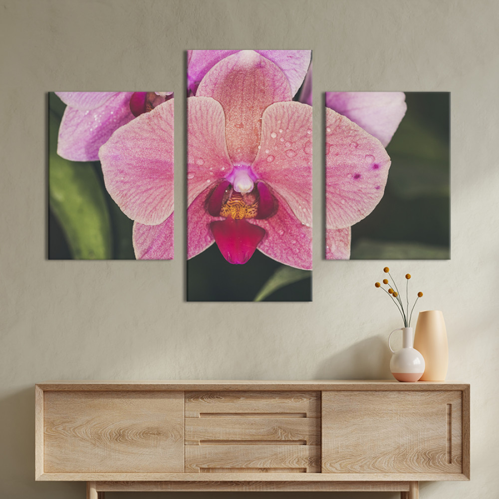 Картина триптих рожева квітка орхідеї 141x90 см (965-32)