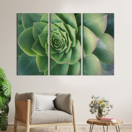 Картина Кімнатний сукулент 78x48 см (879-31)